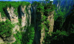 张家界吃瓜爆料事件,揭秘网络爆料的真相与争议